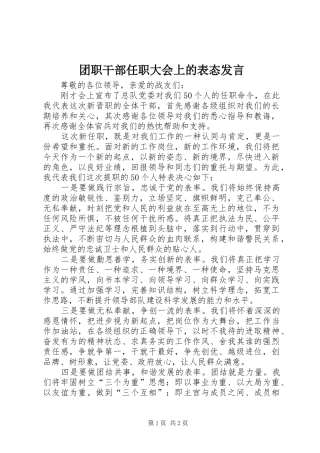 团职干部任职大会上的表态发言稿 (2)