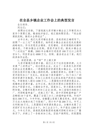 在全县乡镇企业工作会上的典型发言稿