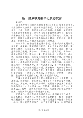 新一届乡镇党委书记表态发言稿