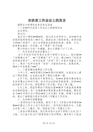 在扶贫工作会议上的发言稿 (2)