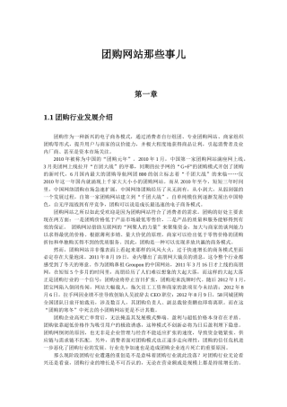 电子商务项目报告_团购网站那些事儿