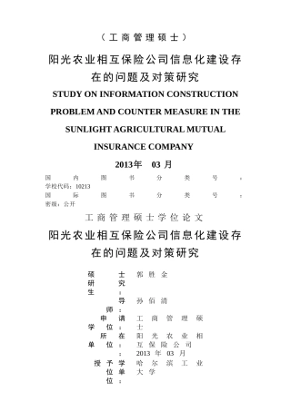 某保险公司信息化建设存在的问题及对策研究