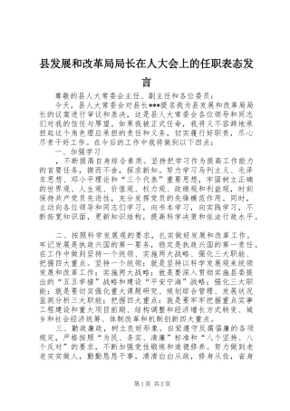 县发展和改革局局长在人大会上的任职表态发言稿