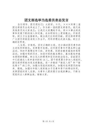 团支部选举当选委员表态发言稿