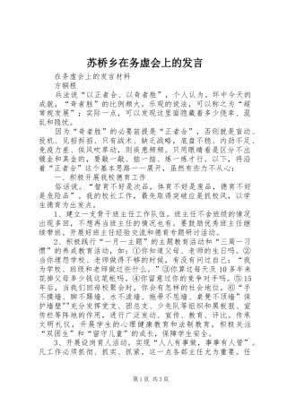 苏桥乡在务虚会上的发言稿