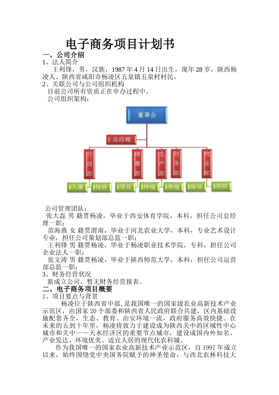 电商项目计划书(DOC31页)_第1页