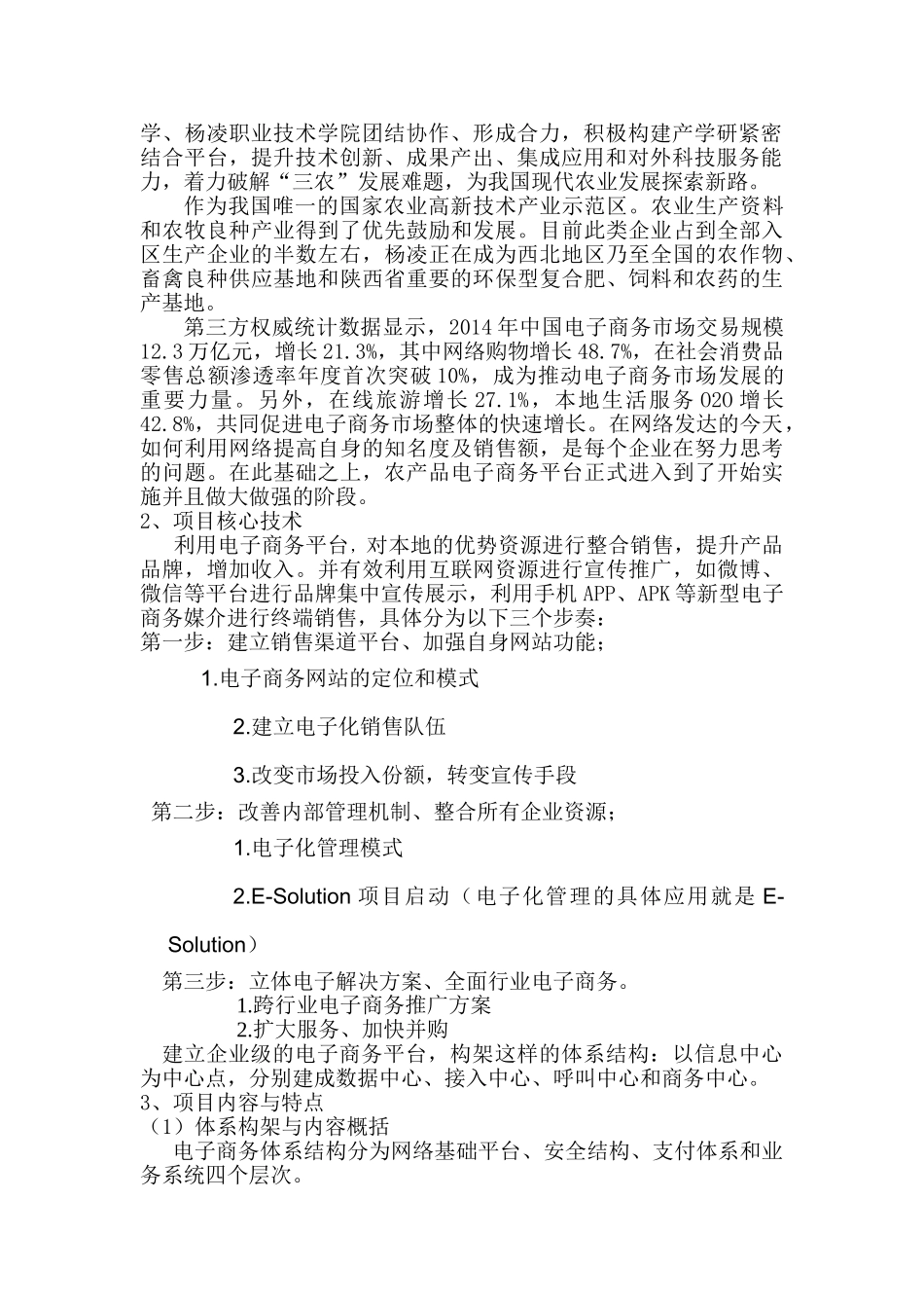 电商项目计划书(DOC31页)_第2页
