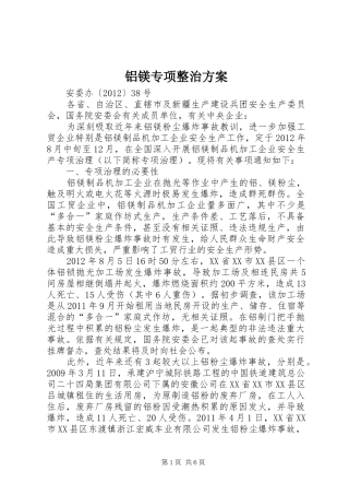 铝镁专项整治方案