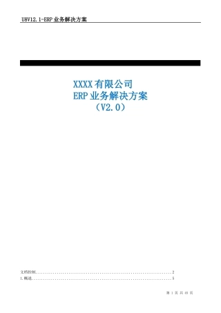 用友11ERP业务解决方案初稿