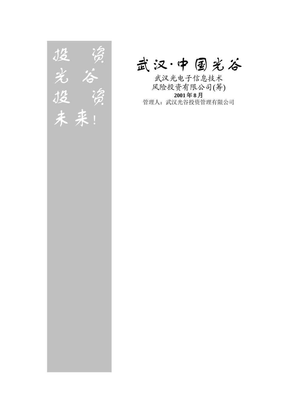 电子信息技术投资公司运作方案_第1页