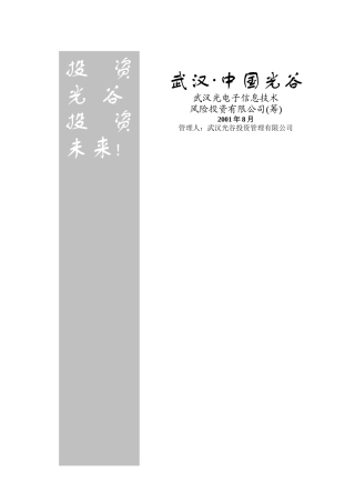 电子信息技术投资公司运作方案