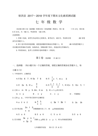 射洪县2017～2018学年度下期末文化素质测试题七年级数学