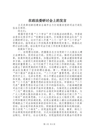 在政法委研讨会上的发言稿 (2)