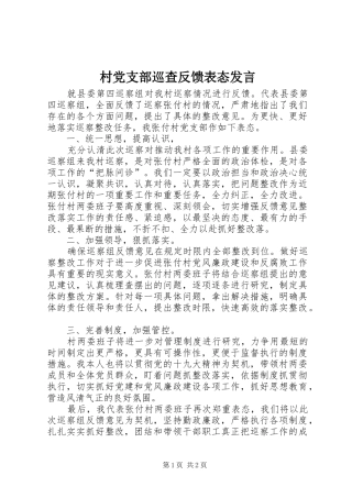 村党支部巡查反馈表态发言稿