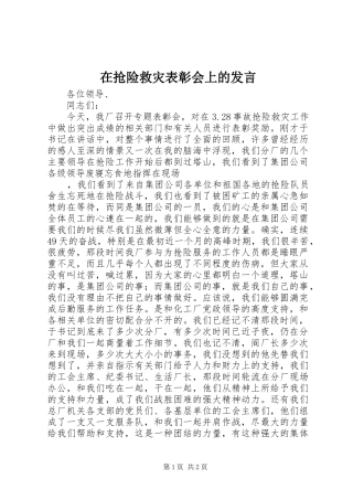 在抢险救灾表彰会上的发言稿 (2)