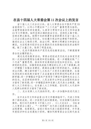 在县十四届人大常委会第11次会议上的发言稿 (3)