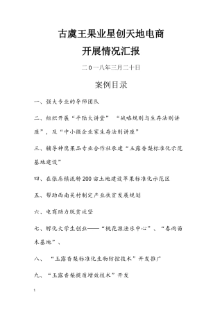 电商典型案例培训资料
