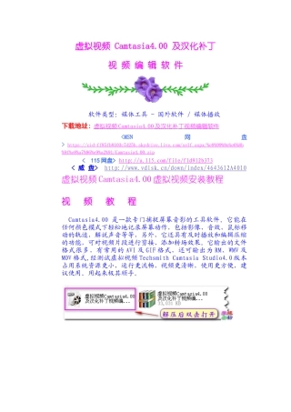 虚拟视频Camtasia4下载安装教程