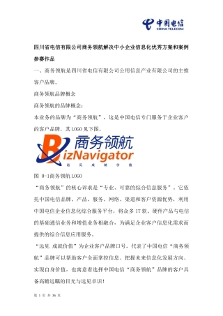 电信商务领航解决中小企业信息化方案