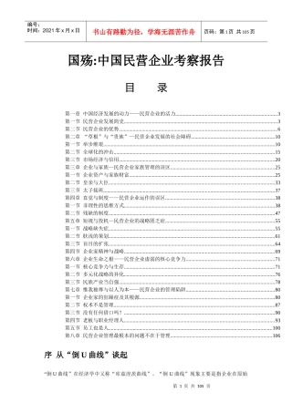 我国民营企业考察研究报告