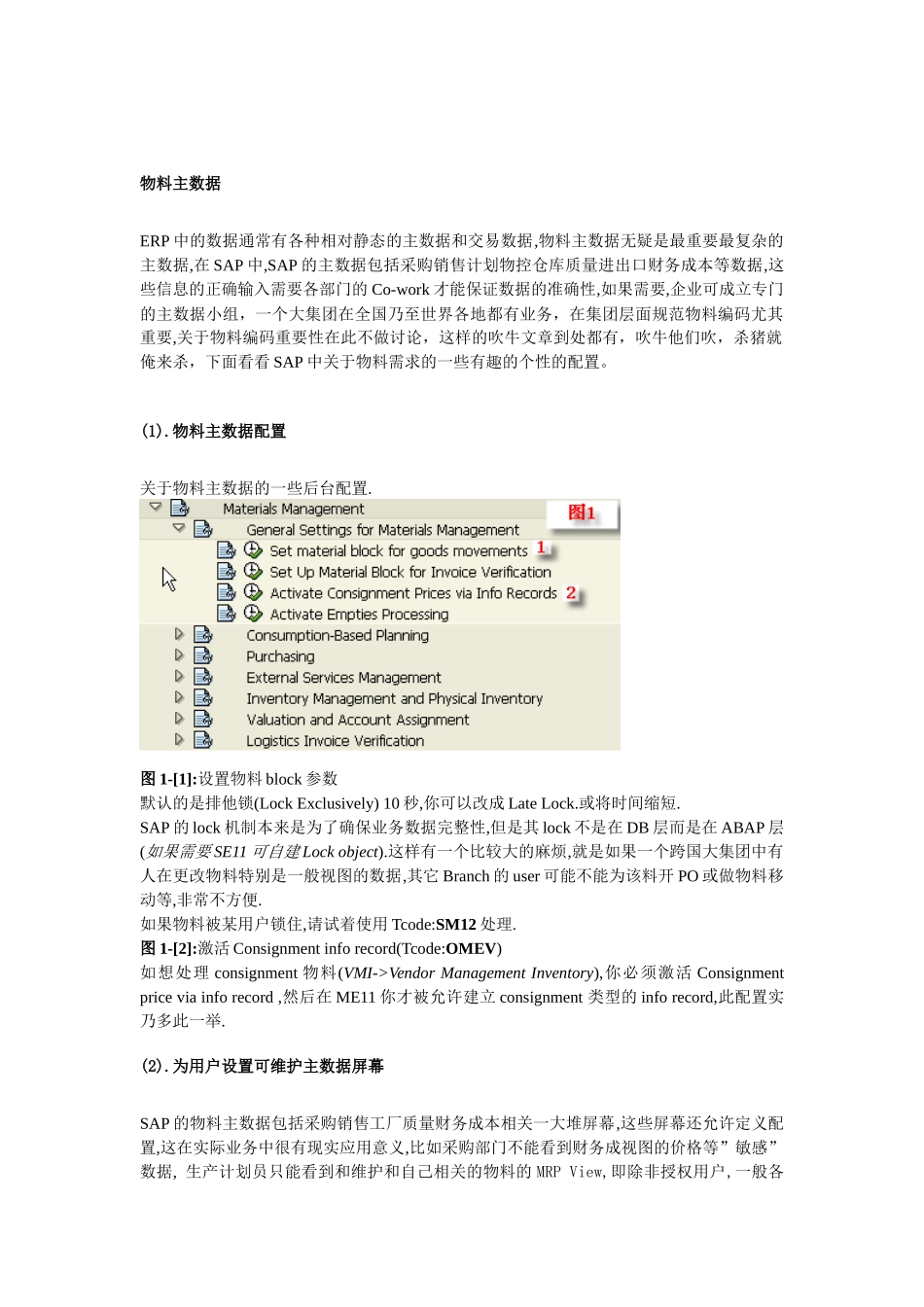 物料主数据SAP[1]_第1页