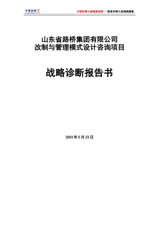 战略诊断报告书(1)