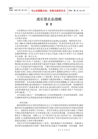 成长型企业战略(DOC47页)