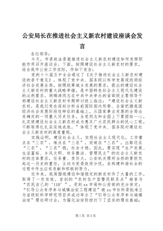 公安局长在推进社会主义新农村建设座谈会发言稿 (2)