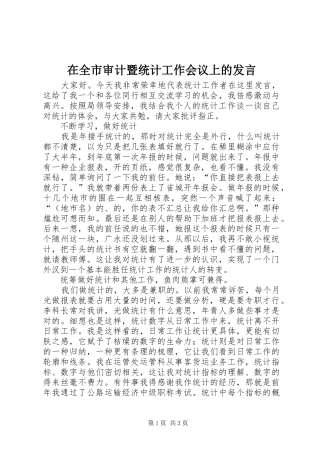 在全市审计暨统计工作会议上的发言稿 (3)