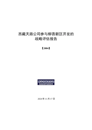 战略评估报告-final