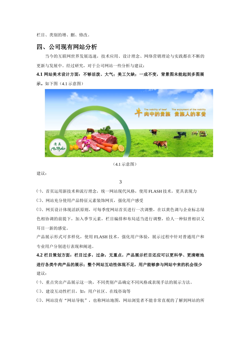 河南某牛肉公司网站改版方案_第3页