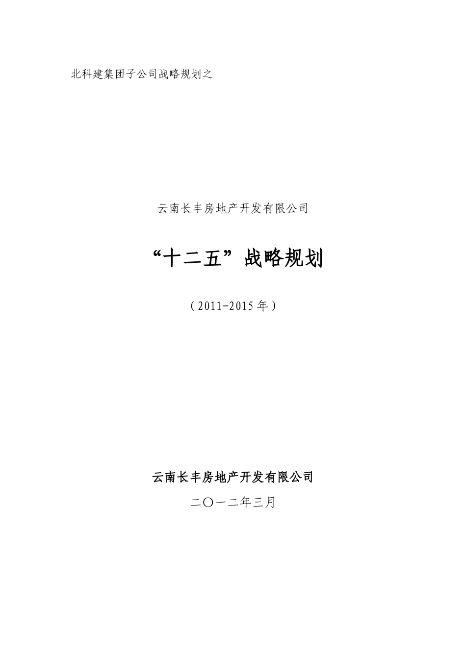 战略规划初稿_第1页