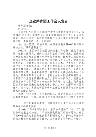 企业共青团工作会议发言稿 (2)