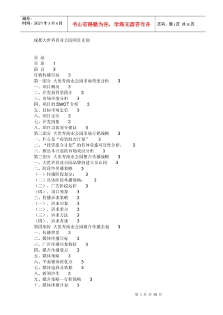 成都某商业公园项目企划