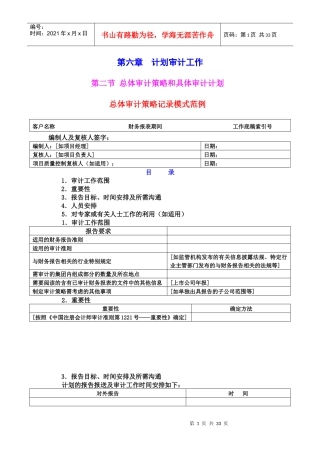 总体审计策略记录模式范例
