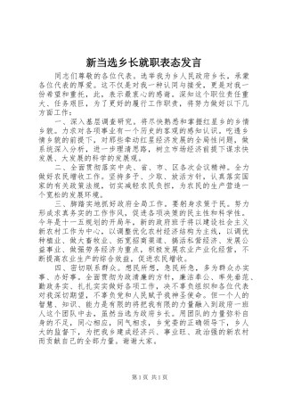 新当选乡长就职表态发言稿