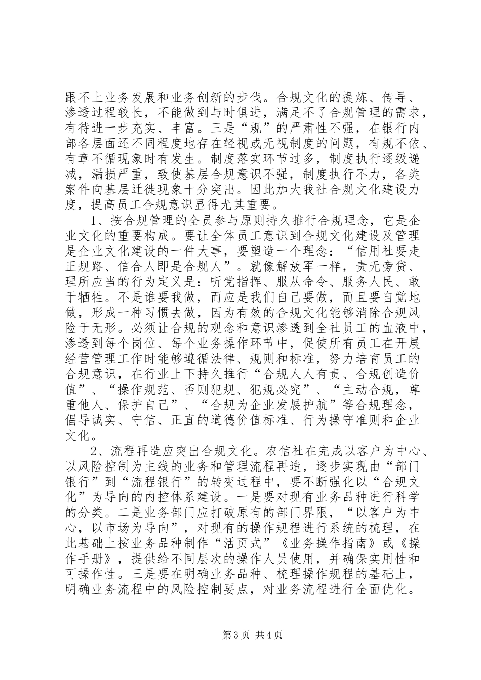 合规风险管理工作典型发言材料提纲范文_第3页