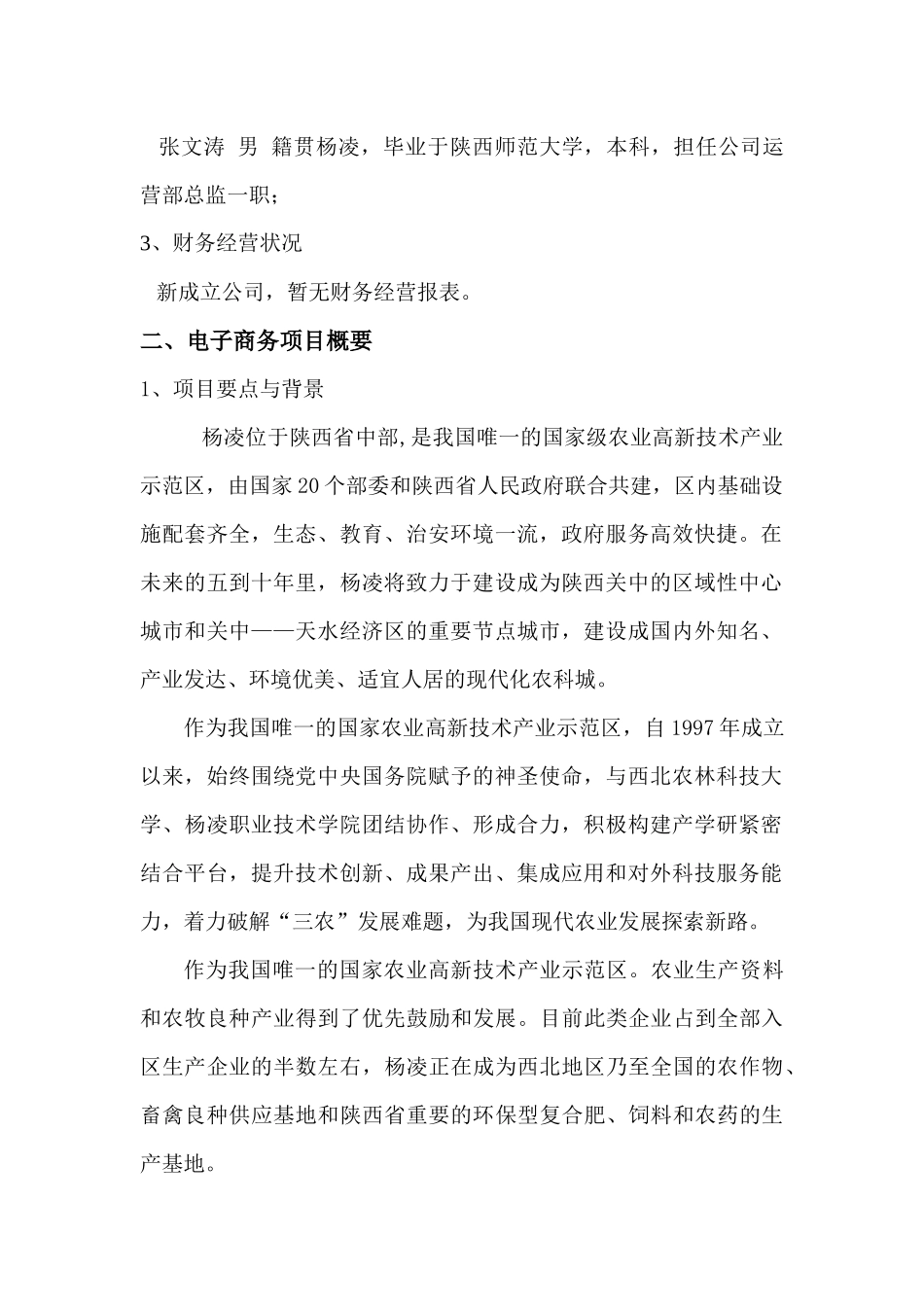 电商项目计划书_第2页