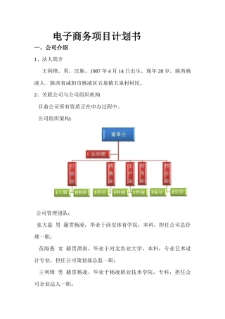 电商项目计划书