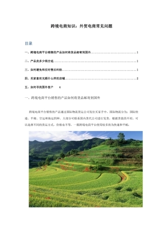 跨境电商知识外贸电商常见问题