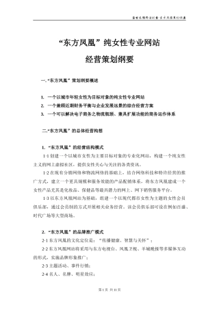 新“东方凤凰”网站经营策划