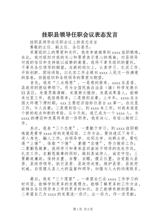 挂职县领导任职会议表态发言稿 (2)