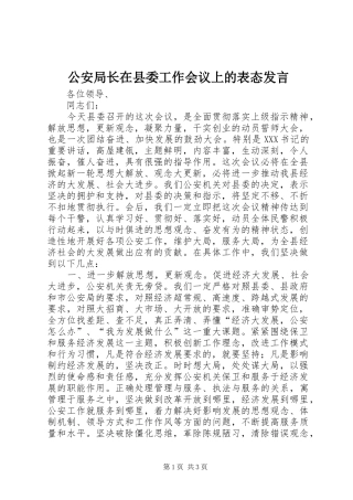 公安局长在县委工作会议上的表态发言稿 (3)
