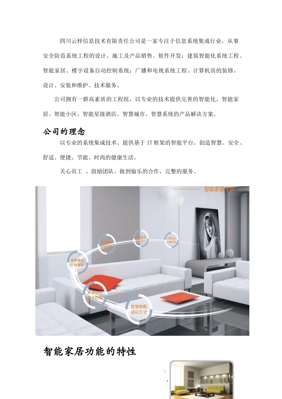 智能家居宣传资料_第2页