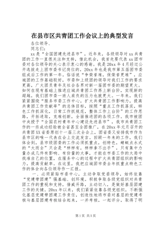 在县市区共青团工作会议上的典型发言稿 (2)