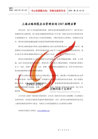 战略咨询顾问