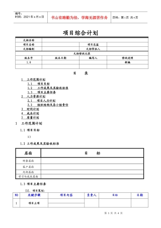 战略行动方案新模版
