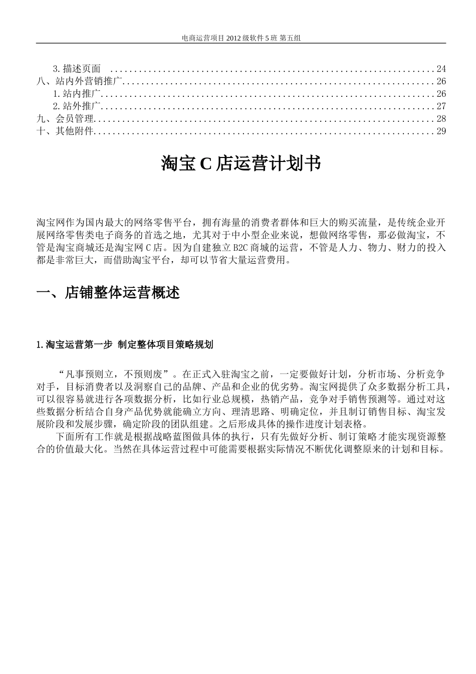 电商运营计划书(DOC30页)_第2页