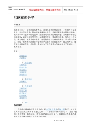 战略知识分子
