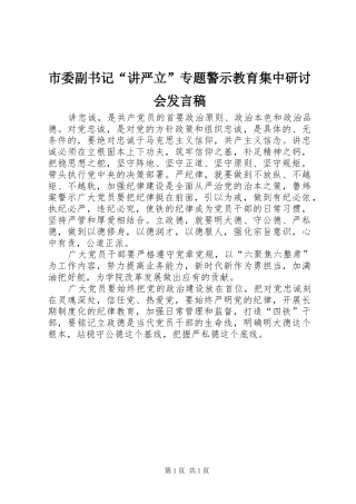 市委副书记“讲严立”专题警示教育集中研讨会发言